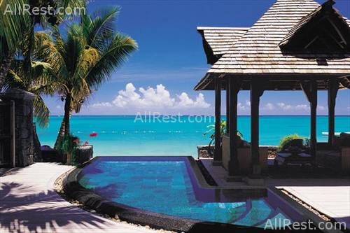 Royal Palm 18
